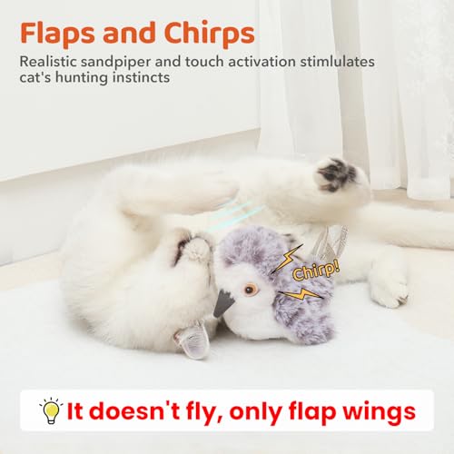 Flapping bird cat toy with hanging rope