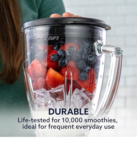 Oster blender stainless steel blade detail