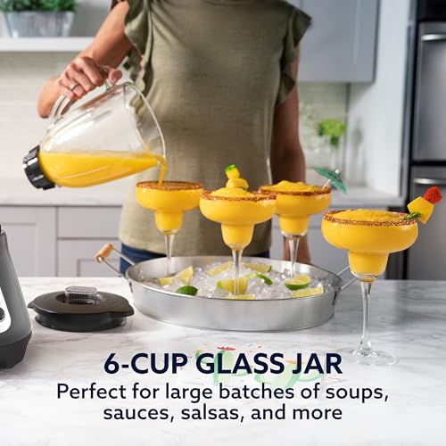 Oster Classic Series blender base controls