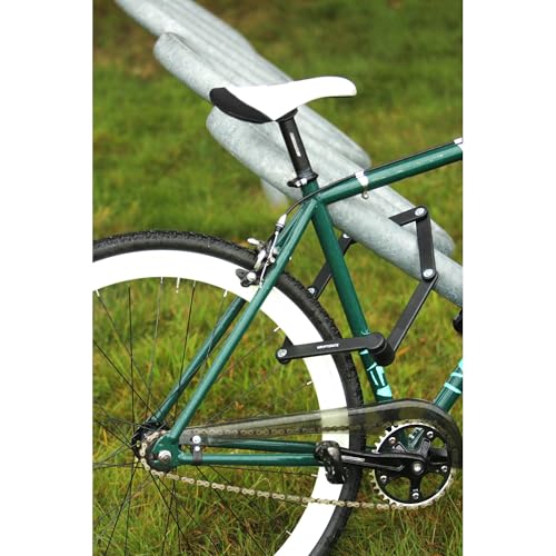 Bicycle lock mounted to frame