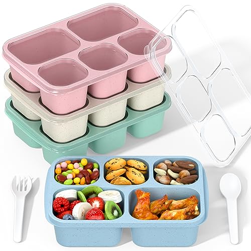 Enstphjoy 4 pack bento box set