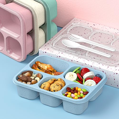 Transparent lid with cat ear handles