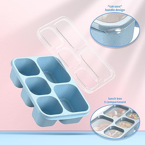 Bento box meal prep food layout