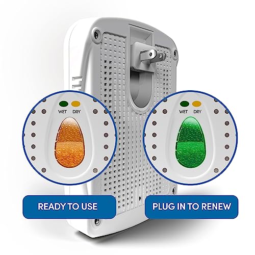 Rechargeable silica gel dehumidifier