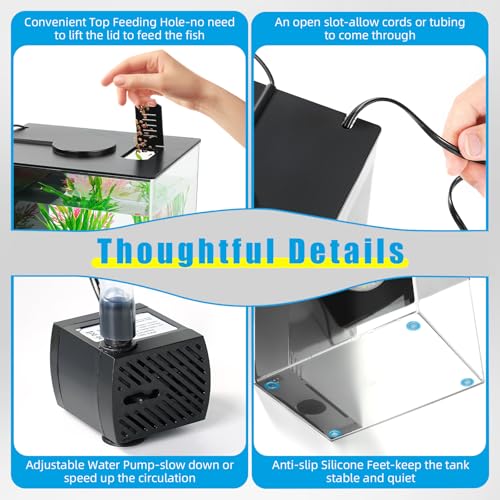 Side profile of AQUANEAT 1 gallon glass aquarium