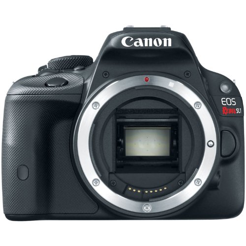 Canon EOS Rebel SL1 with 18-55mm lens