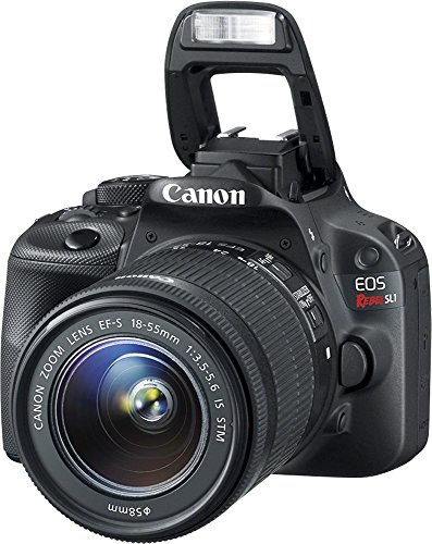Side profile of Canon DSLR black body
