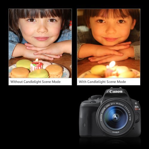 Connectivity ports on Canon camera