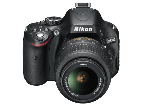 Nikon D5100 back display