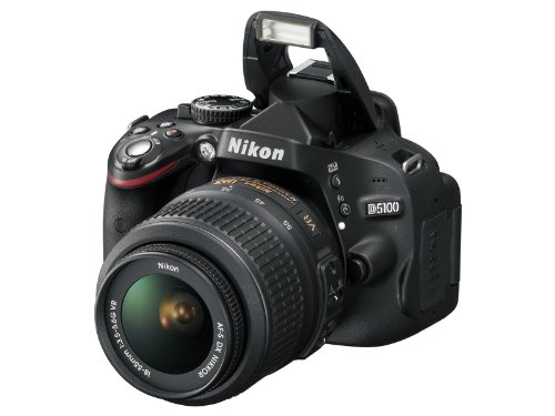 Nikon D5100 battery compartment