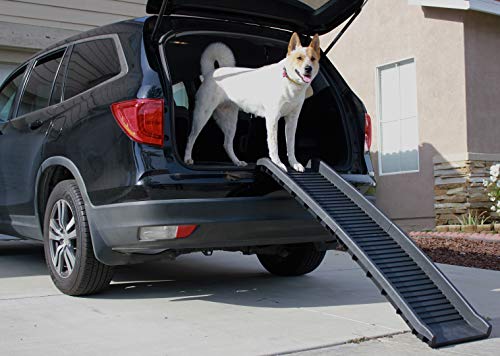 Pet climbing the PawStep folding ramp
