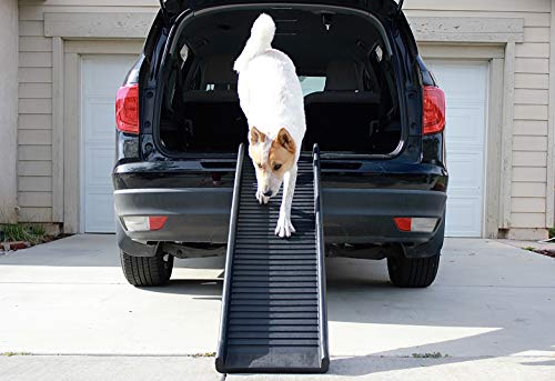 PawStep ramp showing the carpeted traction option