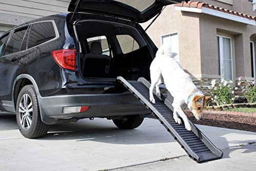 Rear view of black PawStep ramp