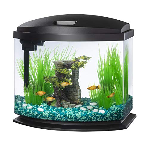 Aqueon MiniBow 5 Gallon Black Aquarium front view