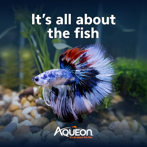 Aqueon MiniBow 5 Gallon kit with included accessories
