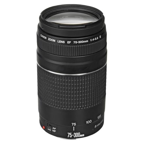 Canon EF 75-300mm f/4-5.6 III telephoto lens front view
