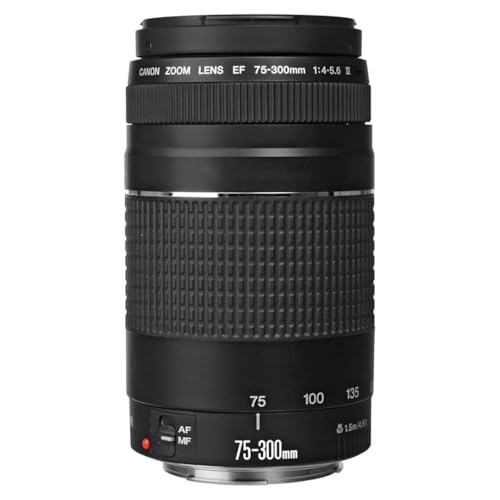 Side profile of the Canon EF 75-300mm zoom lens