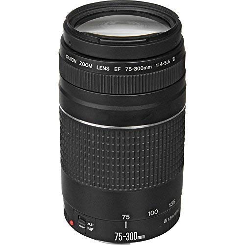 Canon lens glass element and filter thread detail
