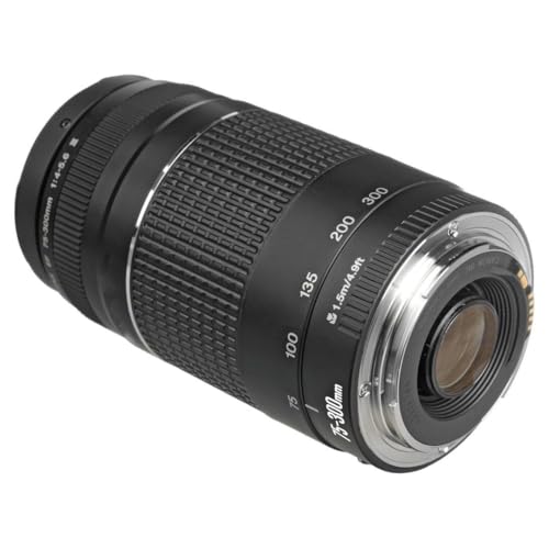 Rear lens mount of the Canon EF 75-300mm lens