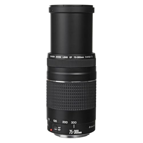 Close up of the silver zoom ring on the Canon EF 75-300mm