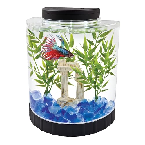 Tetra LED Half Moon 1.1 Gallon Tank front view