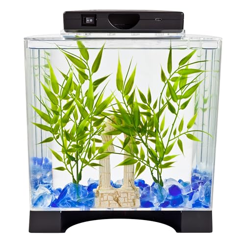 Tetra Half Moon tank black trim detail