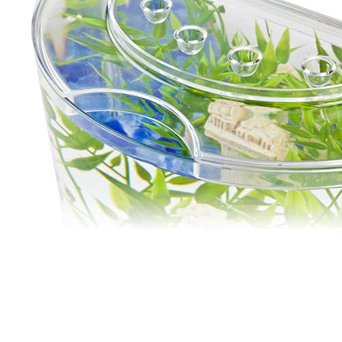 Tetra aquarium half-moon shape design