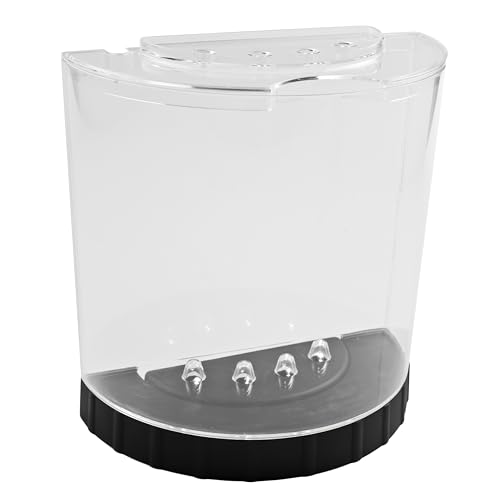 Tetra 1.1 gallon aquarium desktop setup