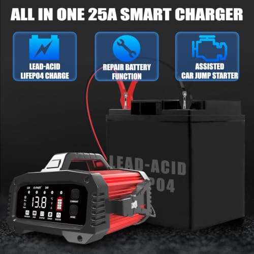 E-FAST 25A smart charger control panel display