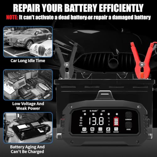 E-FAST battery maintainer pulse repair mode indicator