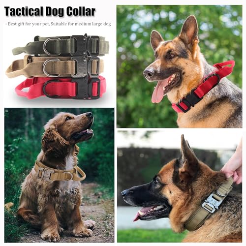 Adjustable tactical dog collar hardware