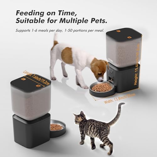 Automatic cat food dispenser stainless steel bowl