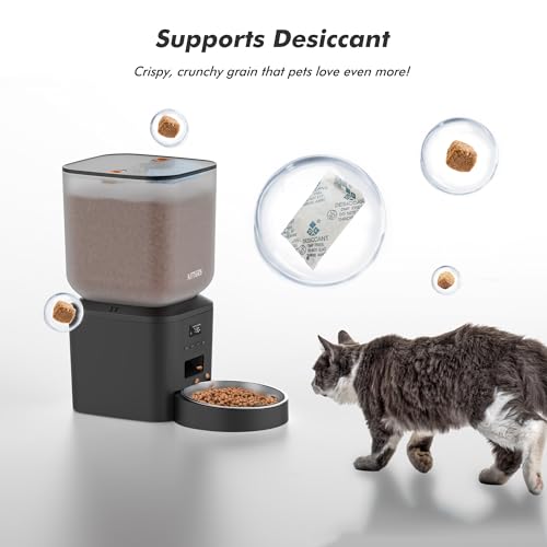 Automatic dog feeder control panel interface