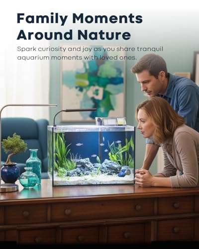 LED lighting and glass quality of the 10 gallon kit