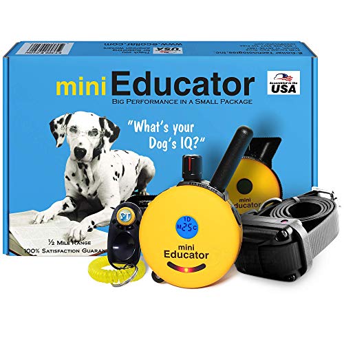Educator ET-300 yellow remote and collar