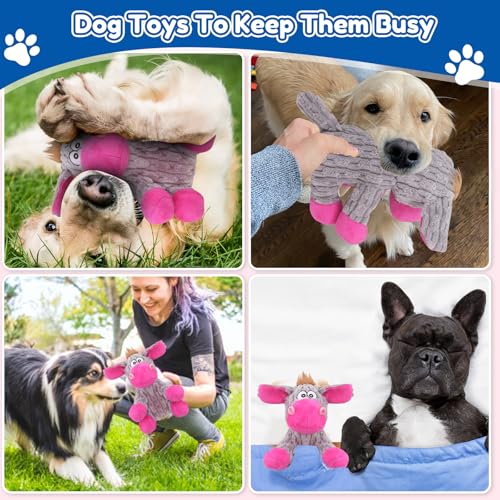 Dog playing with loncoldy squeaky stuffed toy
