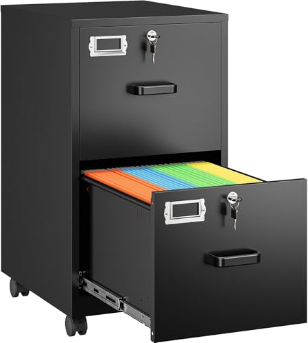 SISESOL 2 Drawer File Cabinet