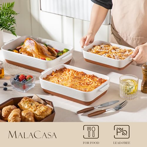 Medium 13 inch rectangular baking pan