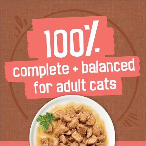 Close up of Friskies cat food texture
