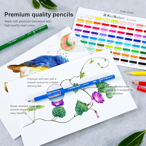 Colorful pencil tip selection from the Kird Barken set