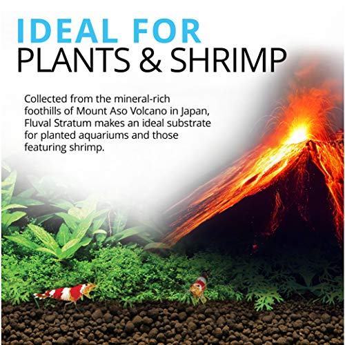 Fluval Stratum volcanic soil texture