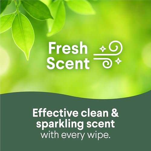 Clorox wipes packaging detail 75 count
