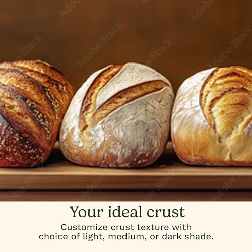 Internal bread pan and paddle