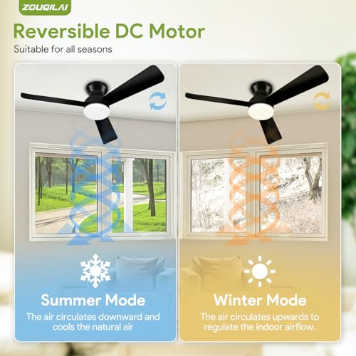 View of ZOUQILAI ceiling fan with integrated LED light