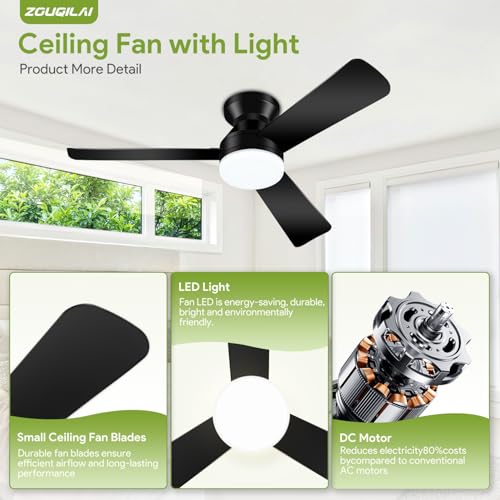 Black finish ceiling fan from ZOUQILAI