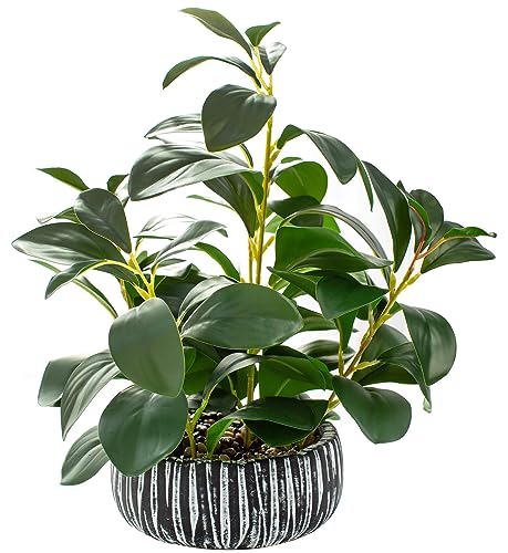 AlphaAcc artificial succulent in clay pot