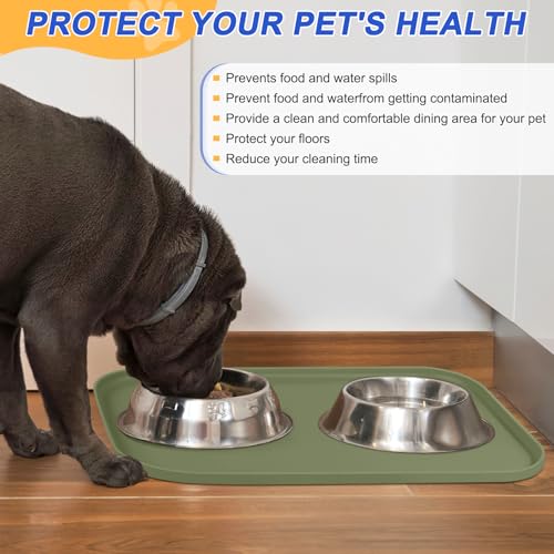 19 x 12 inch SMILOOL mat for cats and dogs