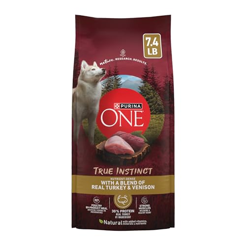 Purina ONE True Instinct turkey and venison bag front view