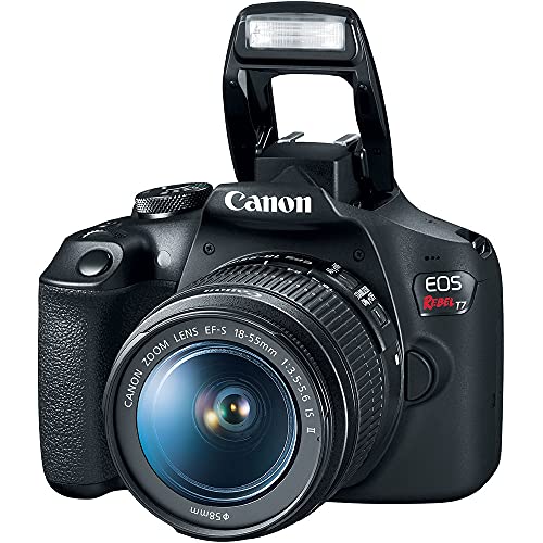 Canon EOS Rebel T7 with 18-55mm lens