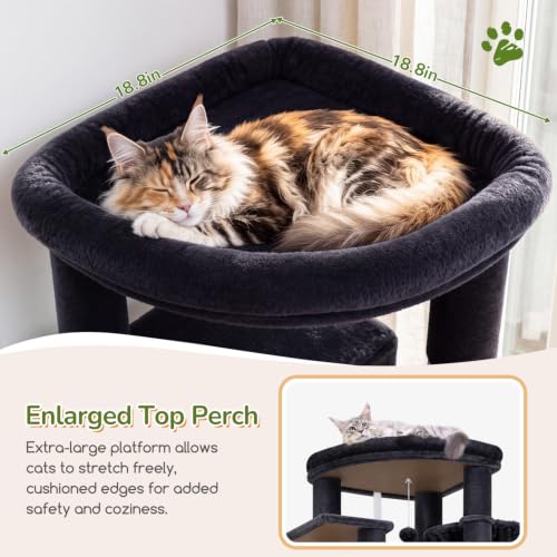 Close up of cat condos on Globlazer S74